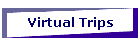 Virtual Trips